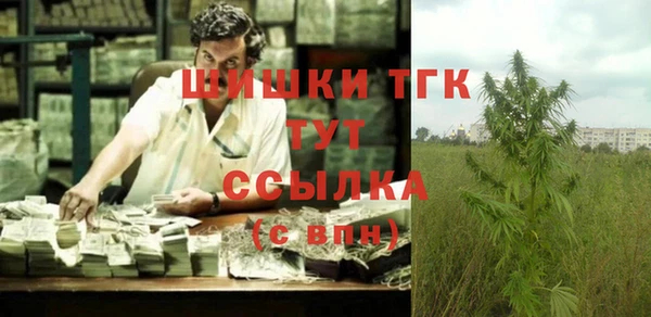 PSILOCYBIN Остров